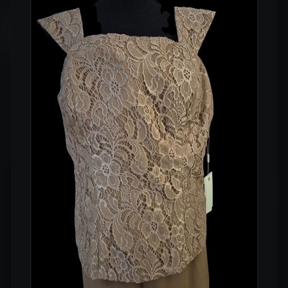 Elegant Nude Taupe Lace Corset Top Chiffon Shrug Wide Leg Pant Suit Set - Size X - Picture 2 of 6